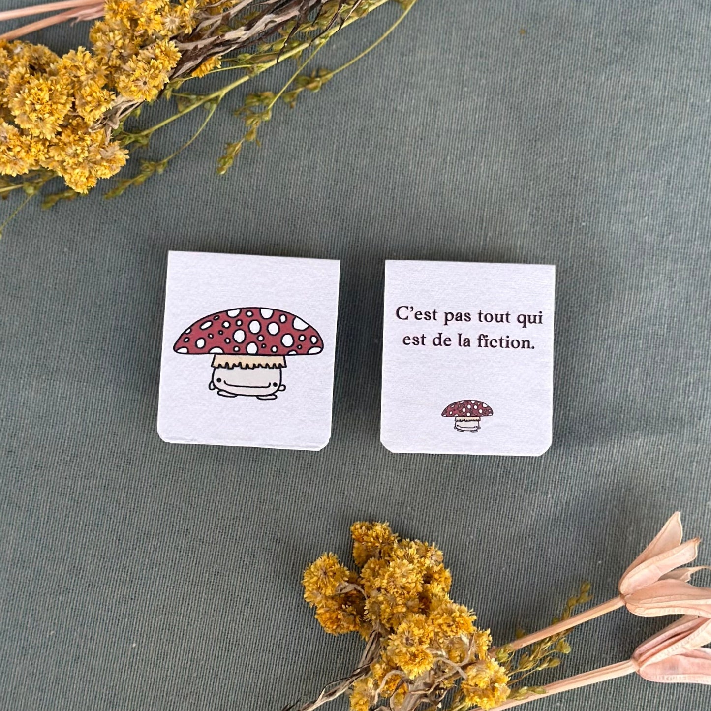 Mushroom magnetic bookmark | Signet magnétique des champignon
