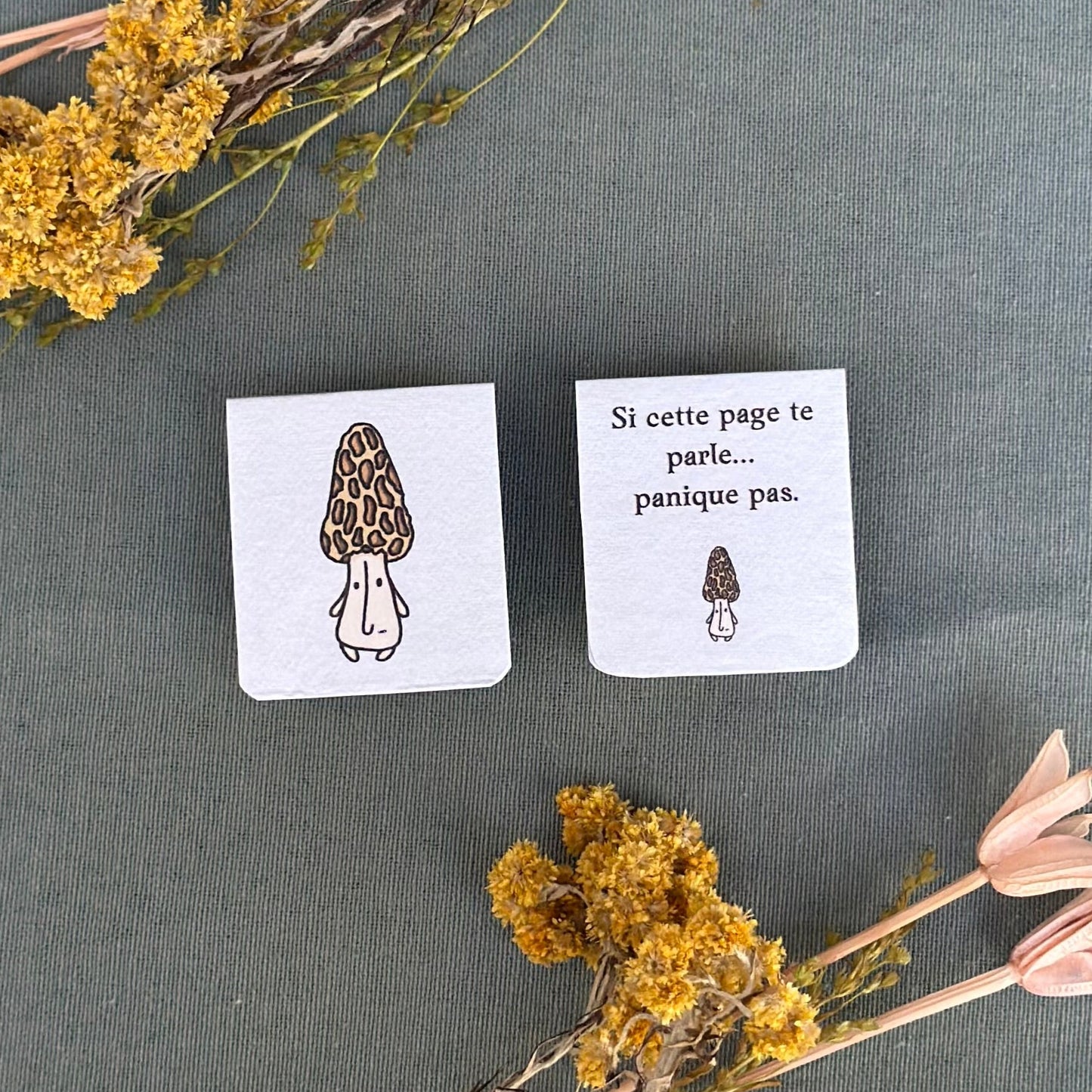 Mushroom magnetic bookmark | Signet magnétique des champignon