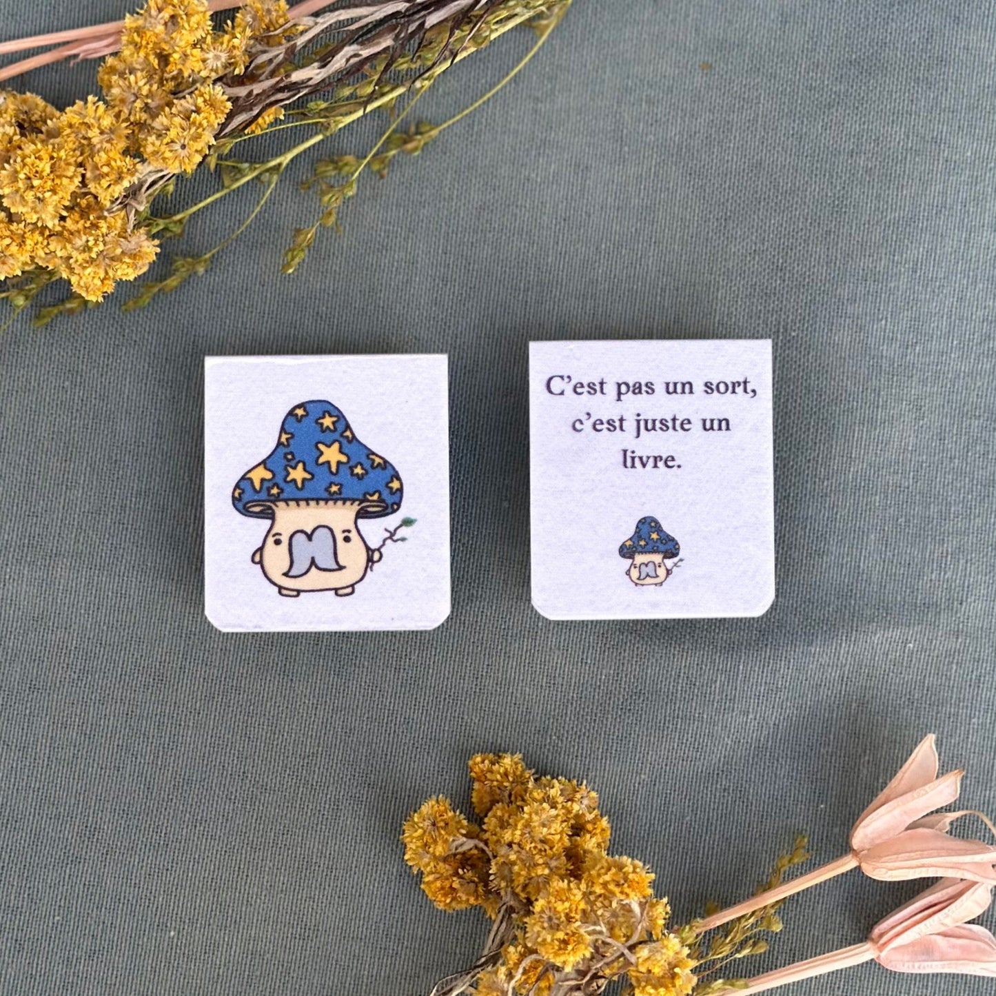 Mushroom magnetic bookmark | Signet magnétique des champignon